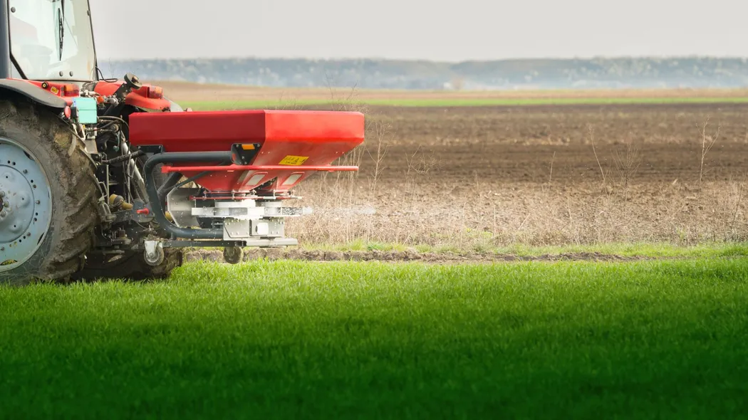 Skracanie zbóż regulatorami wzrostu
