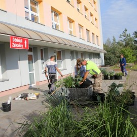 powiększ zdjęcie: Podarowaliśmy egzotyczne rośliny i ławki legnickiemu szpitalowi