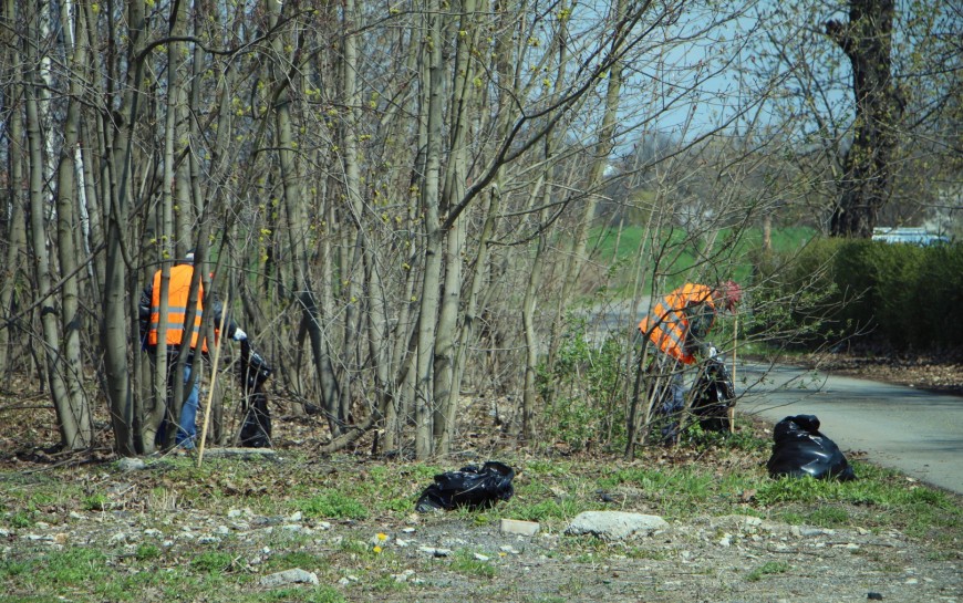 Bezrobotni sprzątają miasto. Dwa razy w tygodniu zbierają nawet tonę odpadów