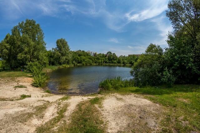 LBO 2022. Przetarg na rewitalizację terenów przy glinkach w Lasku Złotoryjskim