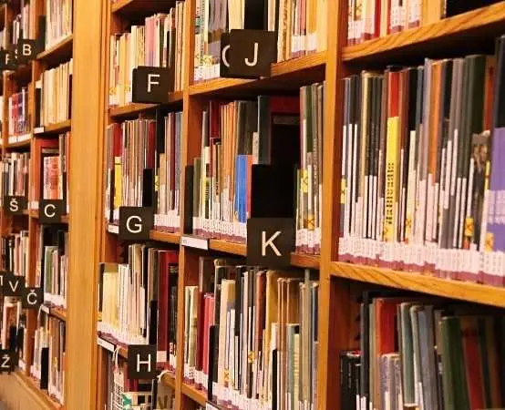Parkowe zagadki, które ożywiają niedzielne popołudnie
