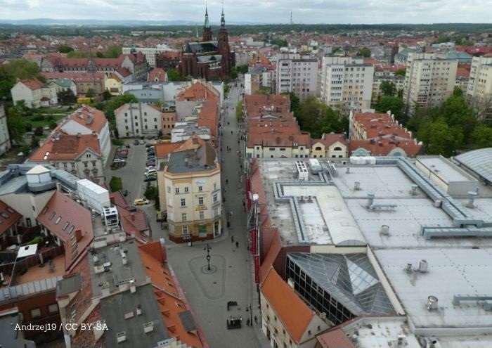 Urząd Miasta Legnica: Prezydent powołał członków Zespołu Interdyscyplinarnego ds. Przeciwdziała Przemocy Domowej