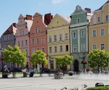 Legnickie Lwy wracają na własny parkiet po ligowe punkty