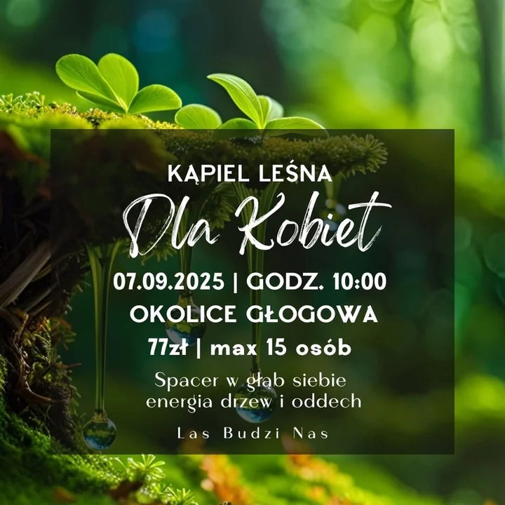 Obrazek przedstawia grafikę promocyjną wydarzenia Trzygodzinna kąpiel leśna z praktyką uważności