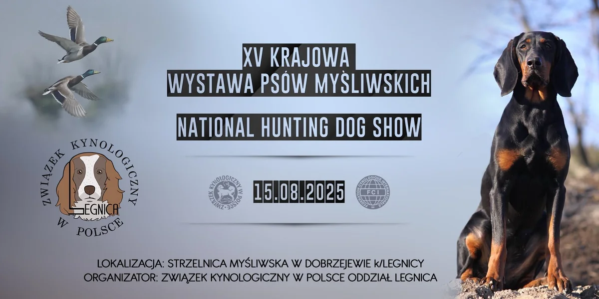 Grafika promocyjna wydarzenia Wystawa psów myśliwskich w Dobrzejowie – sierpień 2025