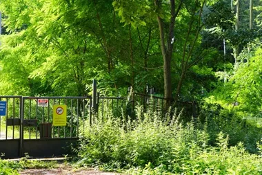 Śmieci przy ogrodzeniu wodociągów. Teren objęto monitoringiem