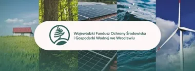 Do 8 tys. zł na deszczówkę. Właściciele domów mogą już składać wnioski