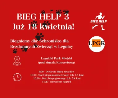 Legnicki Park znów zamieni się w trasę biegu dla schroniska