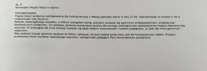 Po potrąceniu sarny na DK94 policjanci z Legnicy dostali wyjątkowe podziękowania