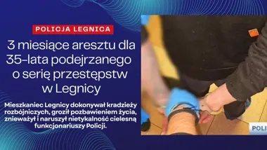 Kradł alkohol i kosmetyki, a potem atakował ochronę. 35-latek trafił do aresztu