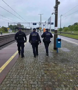 Tory pod specjalnym nadzorem. Policja i SOK patrolowały okolice Legnicy