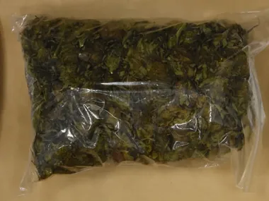 Zostawił rower i uciekł pieszo. W Prochowicach zabezpieczono 2,2 kg marihuany