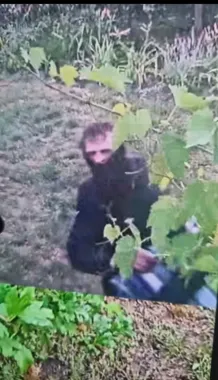 Mężczyzna na nagraniu po włamaniu do altany w Legnicy. Policja prosi o pomoc
