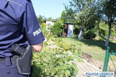 Pierwsze ciepłe dni - włamywacze wykorzystują nieuwagę na działkach