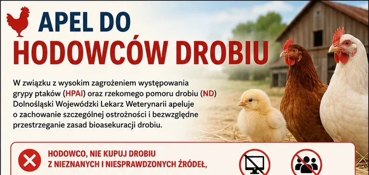 Weterynaria alarmuje hodowców drobiu. Ryzyko nadal jest wysokie