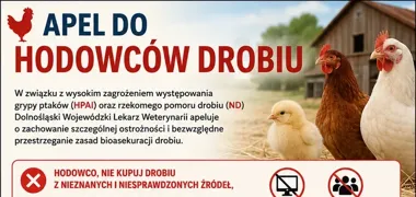 Weterynaria alarmuje hodowców drobiu. Ryzyko nadal jest wysokie